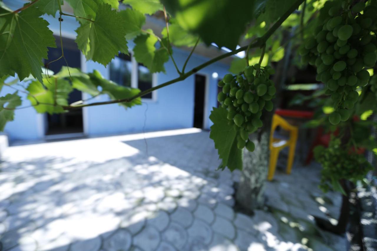 Lilia Guesthouse Signagi Exterior foto
